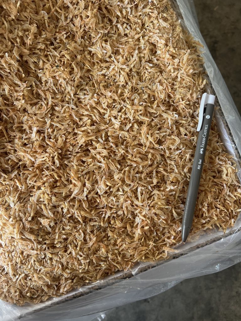 Udang Geragau Vietnam