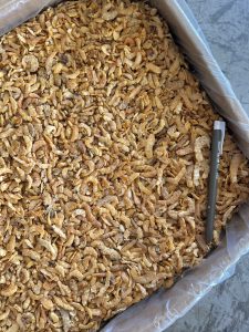 Udang Kering Merah Besar Grade B